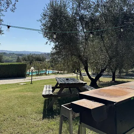 Il Vecchio Scornabecco-2
